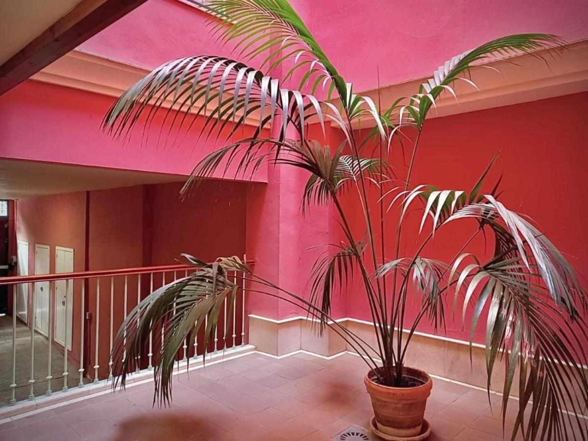 Apartamento Sauceda 7 Sevilla Buitenkant foto